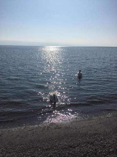 Lake Geneva Switzerland