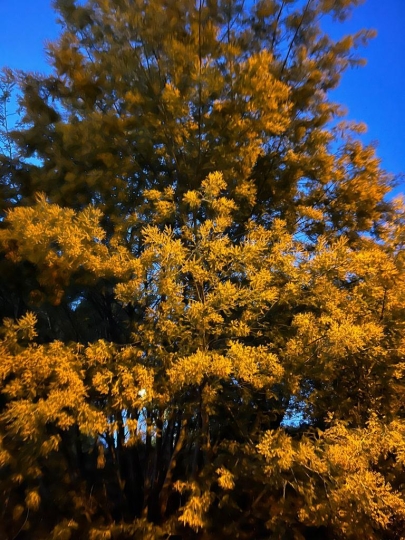 nature